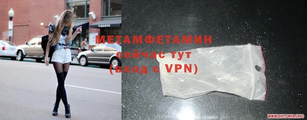 прущие грибы Белокуриха