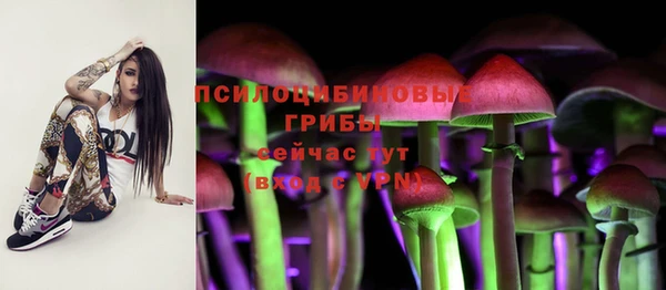 СК Беломорск