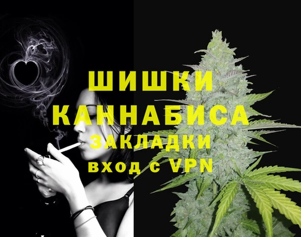 прущие грибы Белокуриха