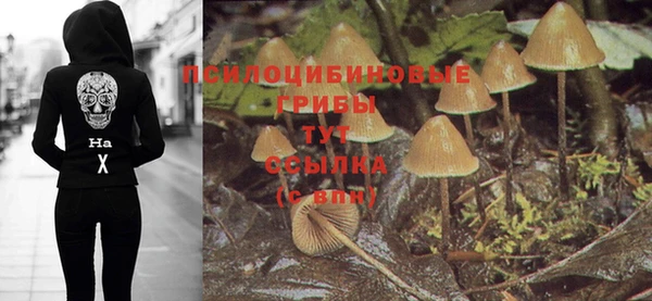 прущие грибы Белокуриха