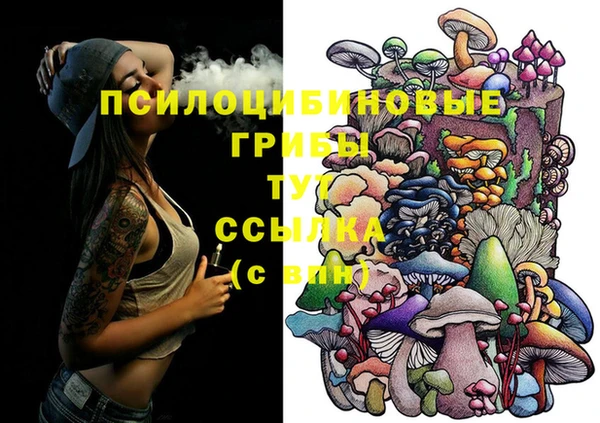 прущие грибы Белокуриха
